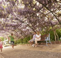 Laurel Bank Park - Whitsundays Accommodation