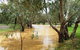 Saddliers Waterhole And Hamburg Creek - thumb 0