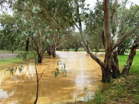Saddliers Waterhole And Hamburg Creek - Whitsundays Accommodation 0