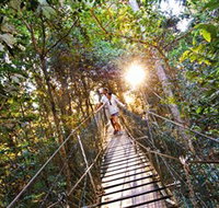 Tree Top Walkway - Whitsundays Accommodation