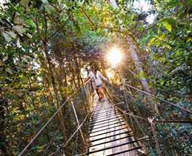 Tree Top Walkway - Whitsundays Accommodation 0