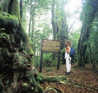 Tooloona Creek circuit - Whitsundays Accommodation