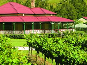 OReillys Canungra Valley Vineyards - Whitsundays Accommodation 0