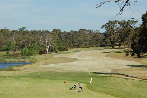 Devilbend Golf Club - Whitsundays Accommodation 1