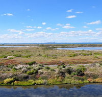 Point Cook Coastal Park - Whitsundays Accommodation