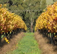 Wild Dog Winery  Restaurant - Whitsundays Accommodation