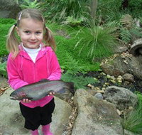 Wild Food Farm  Cafe - Whitsundays Accommodation