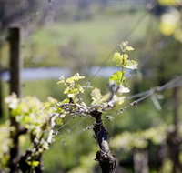 Elan Vineyard and Winery - Whitsundays Accommodation