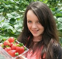 Yarra Valley Gateway Estate - Whitsundays Accommodation