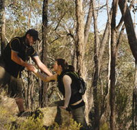 Greater Bendigo National Park - Whitsundays Accommodation