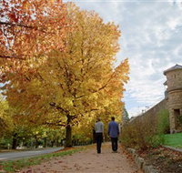 Indigo Gold Trail - Whitsundays Accommodation