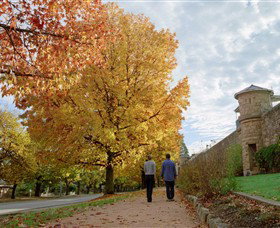 Indigo Gold Trail - Whitsundays Accommodation 0