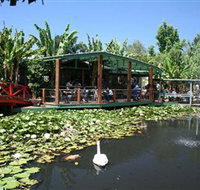 Blue Lotus Water Garden - Whitsundays Accommodation