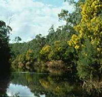 Warrandyte State Park - Whitsundays Accommodation