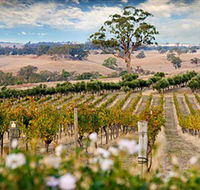 Redesdale Estate - Whitsundays Accommodation