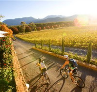 Boyntons Feathertop Winery - Whitsundays Accommodation