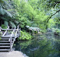 Alfred Nicholas Gardens - Whitsundays Accommodation