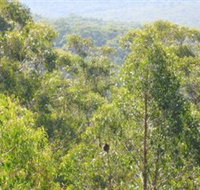 Bunyip State Park - Whitsundays Accommodation