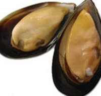 Sea Bounty - Whitsundays Accommodation