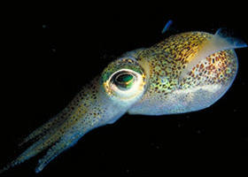 Corner Inlet Marine National Park - Whitsundays Accommodation 0