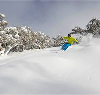 Mt Buller and Mt Stirling Alpine Resort - Whitsundays Accommodation