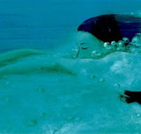 Muse - Whitsundays Accommodation