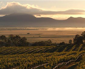 Montara Wines - Whitsundays Accommodation 0