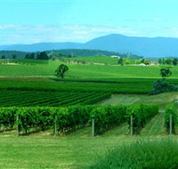 Acacia Ridge Vineyard - Whitsundays Accommodation
