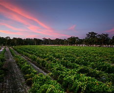 Book Talbot VIC Attractions Whitsundays Accommodation Whitsundays Accommodation