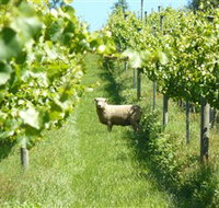 Passing Clouds - Whitsundays Accommodation
