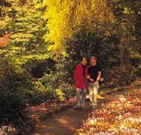 George Tindale Memorial Gardens - Whitsundays Accommodation