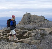 Mount Buffalo National Park - Whitsundays Accommodation