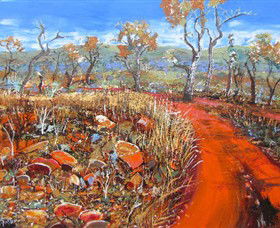 Whitehill Gallery - Whitsundays Accommodation 0