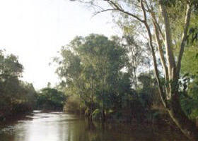 Banksia Park - Whitsundays Accommodation 0