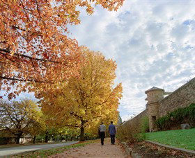 Beechworth Historic And Cultural Precinct - Whitsundays Accommodation 0