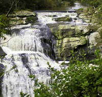Agnes Falls Scenic Reserve - Whitsundays Accommodation