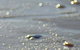 Cape Liptrap Coastal Park - thumb 0