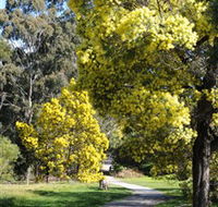 Wattle Park - Whitsundays Accommodation