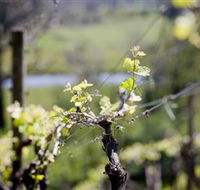 Eldridge Estate of Red Hill - Whitsundays Accommodation
