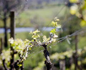 Eldridge Estate Of Red Hill - Whitsundays Accommodation 0