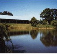St Anne's Vineyard