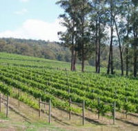 Piedmont Vineyard - Whitsundays Accommodation