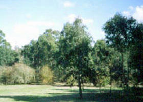 Sweeneys Flat - Whitsundays Accommodation 0