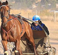 Ballarat  District Trotting Club - Whitsundays Accommodation