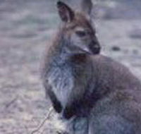 Churchill National Park - Whitsundays Accommodation