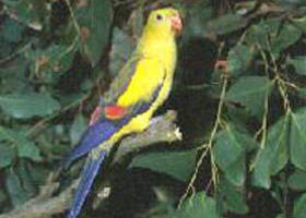 Lake Hindmarsh Reserve - Whitsundays Accommodation 0