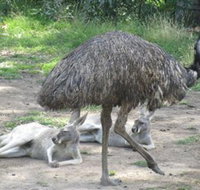 Bundoora Park - Whitsundays Accommodation