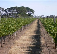 Mount Beckworth Wines - Whitsundays Accommodation