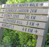 Great North Walk - Whitsundays Accommodation