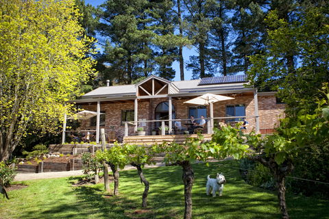 Main Ridge Estate - Whitsundays Accommodation 2